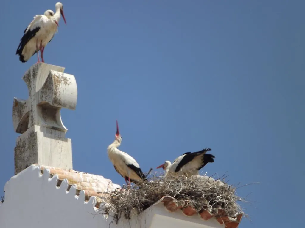 Entrecubos Guesthouse Olhao Guest house